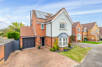 Trefoil Drive